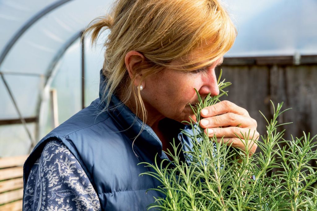 naturalité-huile-essentielle-plante-labo