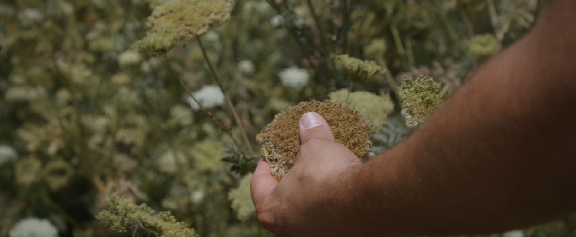 sourcing filière traçabilité ingrédients