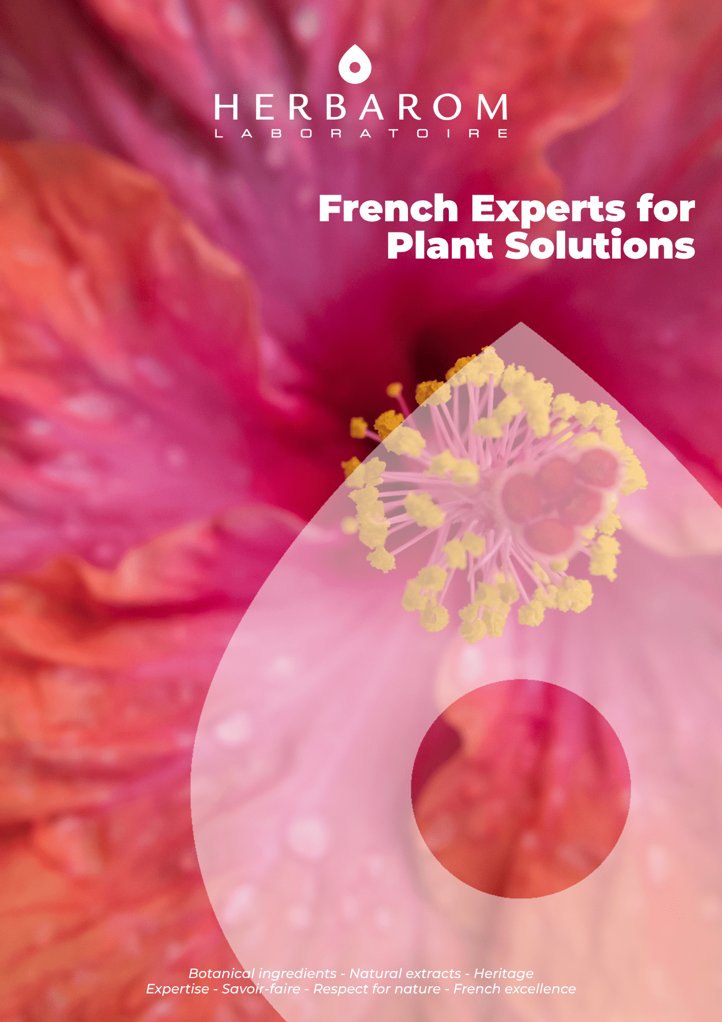 Flyer - cosmétique 1