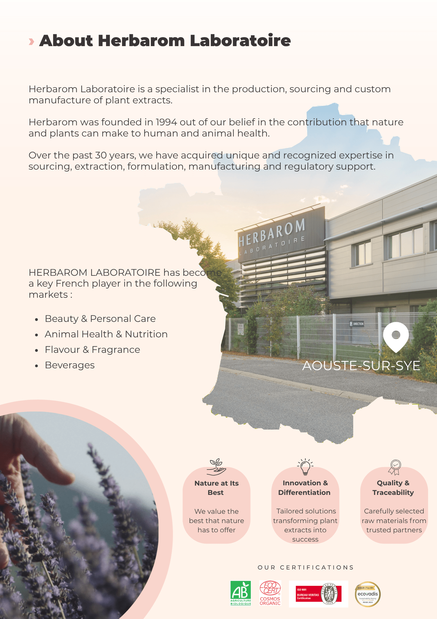 Flyer - cosmétique 2