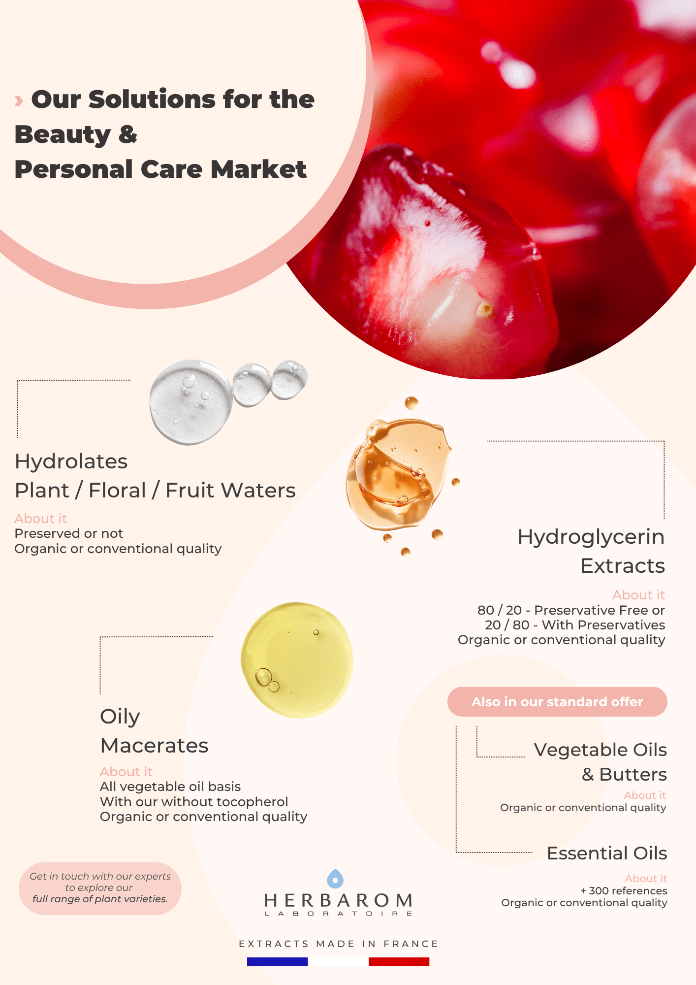 Flyer - cosmétique 3