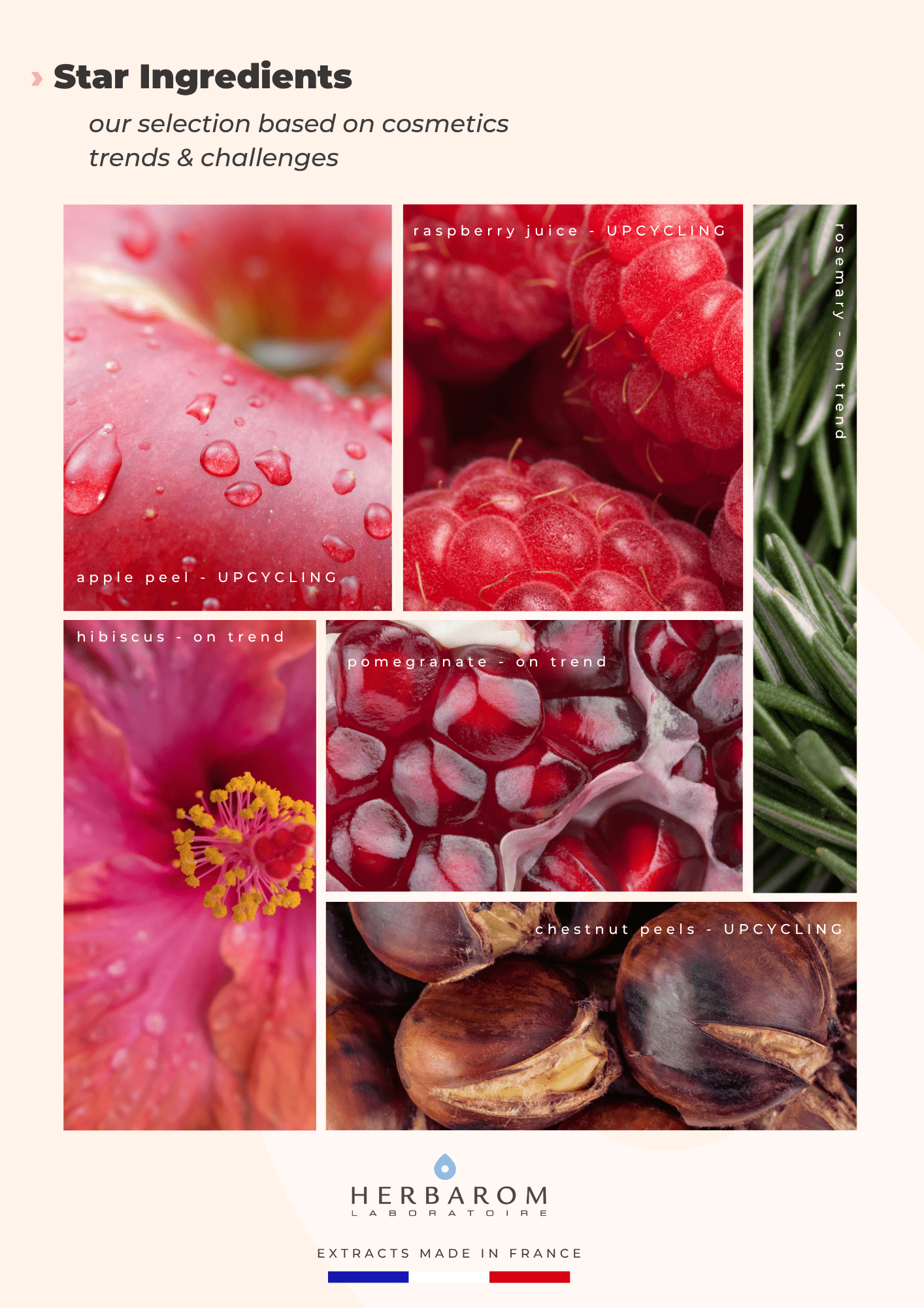 Flyer - cosmétique 5